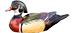 duck-divider-1