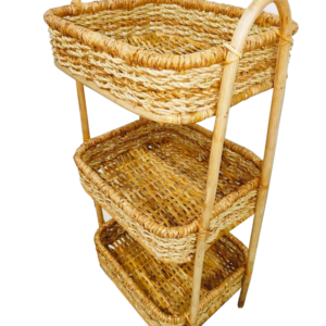 254081646 312083797414804 4397228647322241276 n